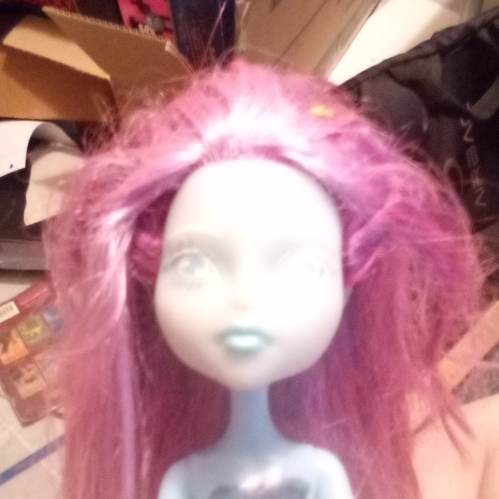 Monster high doll